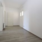 Rent 3 bedroom apartment of 75 m² in Chemnitz