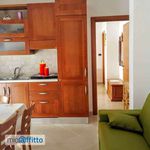 Affitto 1 camera appartamento di 50 m² in Manfredonia