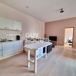 Rent 1 bedroom apartment of 50 m² in Albi