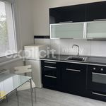 Rent 1 bedroom apartment of 38 m² in Zlín