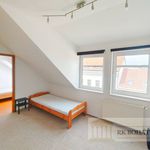 Rent 4 bedroom apartment of 107 m² in Prague