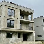 Rent 1 bedroom apartment of 100 m² in Bílovec