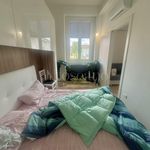 Rent 3 bedroom apartment of 70 m² in Milano