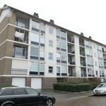 Rent 2 bedroom apartment of 69 m² in Eindhoven