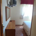 Alquilo 3 dormitorio apartamento de 60 m² en Torrevieja