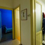 Rent a room of 100 m² in Torino