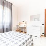 Affitto 5 camera appartamento in Padova