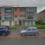 Rent 2 bedroom apartment in Wommelgem