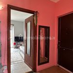 Rent 2 bedroom apartment of 63 m² in Turin