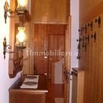 Rent 3 bedroom apartment of 55 m² in San Vito di Cadore