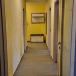 Rent 4 bedroom apartment of 68 m² in Rijeka