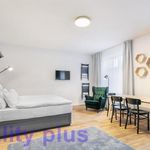 Rent 1 bedroom apartment of 33 m² in Liberec