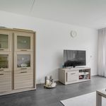 Rent 4 bedroom apartment in Badhoevedorp