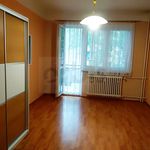 Rent 3 bedroom apartment of 68 m² in Kolín
