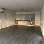 Rent 4 bedroom apartment of 150 m² in Vicenza