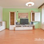 Rent 1 bedroom apartment of 90 m² in Brno