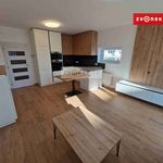 Rent 1 bedroom apartment of 35 m² in Uherské Hradiště