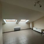 Appartement de 24 m² avec 1 chambre(s) en location à Saint-Gorgon