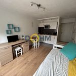 Rent 1 bedroom apartment of 20 m² in Chambéry