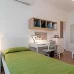 Rent a room of 55 m² in Milano