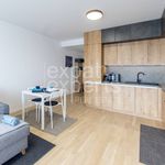 Rent 2 bedroom apartment of 49 m² in Jáchymov