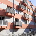 Rent 2 bedroom apartment of 42 m² in Kladno
