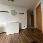 Rent 3 bedroom apartment of 60 m² in Karlsruhe