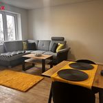 Rent 1 bedroom apartment of 38 m² in Louny