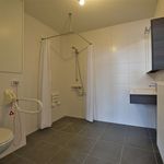 Rent 1 bedroom apartment of 62 m² in Dendermonde