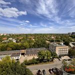Rent 2 bedroom apartment of 39 m² in Poznan