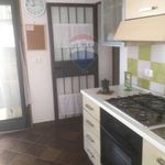 Rent 2 bedroom apartment of 40 m² in Catania