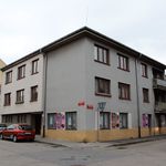 Rent 1 bedroom apartment of 31 m² in Budweis