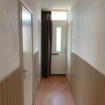 Huur 1 slaapkamer appartement van 280 m² in Zaandam
