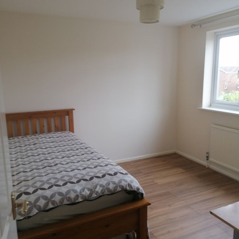 Lovely double bedroom  (Has a House)