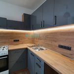 Rent 1 bedroom apartment of 45 m² in Mohelnice