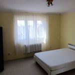 Rent 3 bedroom apartment in Černošice