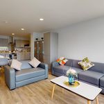 Rent 2 bedroom student apartment of 28 m² in Nottingham