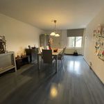 Huur 3 slaapkamer appartement van 100 m² in Maastricht