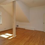 Rent 3 bedroom apartment of 121 m² in Radebeul
