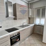 Rent 1 bedroom apartment of 45 m² in Rovello Porro