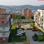 Rent 1 bedroom apartment of 30 m² in Zlín