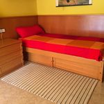 Rent 4 bedroom apartment in Sant Joan Despí