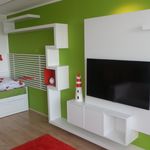 Rent 1 bedroom apartment of 36 m² in Pardubice