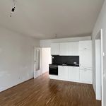 Rent 2 bedroom apartment of 44 m² in Graz