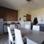 Affitto 2 camera appartamento di 60 m² in Alessandria