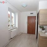 Rent 1 bedroom apartment of 34 m² in Meziboří