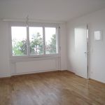 Rent 1 bedroom apartment of 29 m² in Neuchâtel