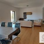 Rent a room of 308 m² in Palaia Fokaia