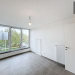 Rent 2 bedroom apartment in Waregem