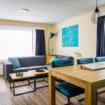 Rent 3 bedroom house in Udenhout